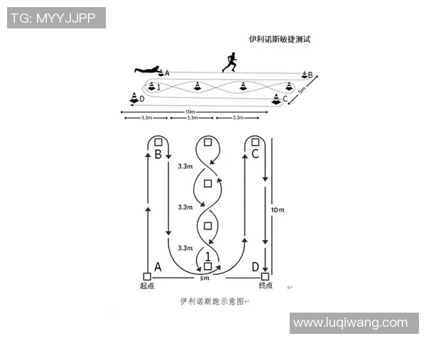 飞盘热潮席卷上海：探索飞盘队灵活性与战术变革之路